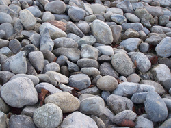 rocks